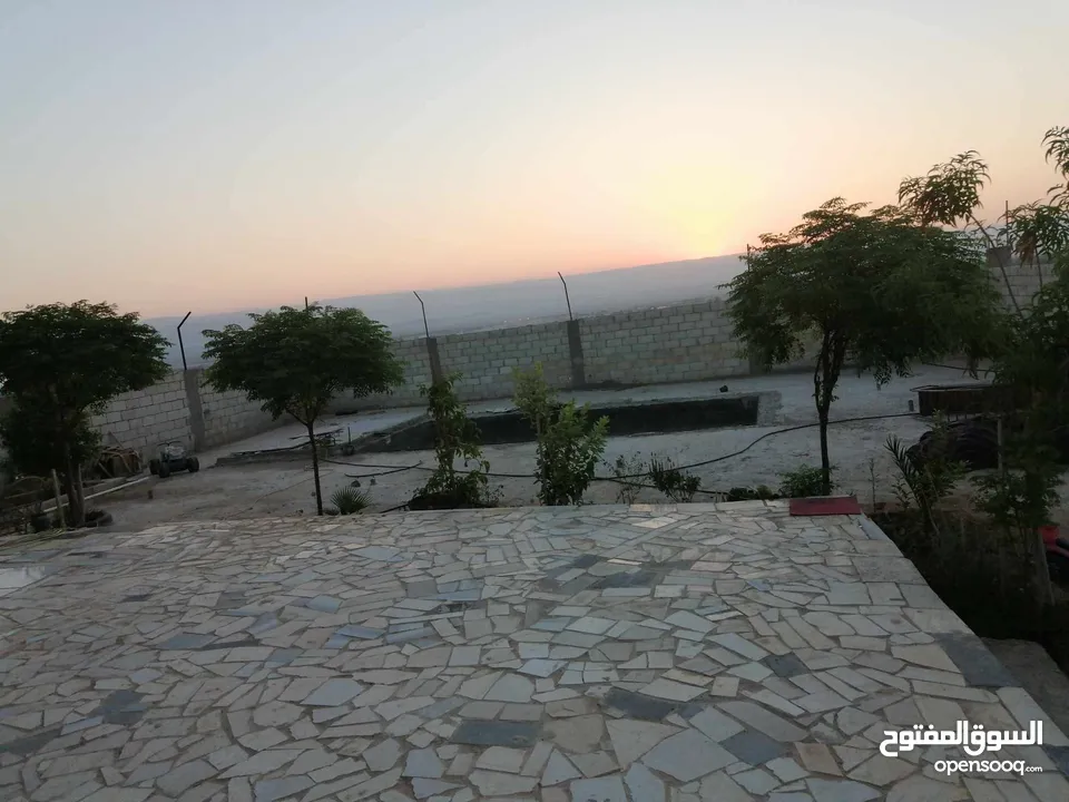 مزرعه شالية في منطقه سويمة قرب بحر الميت