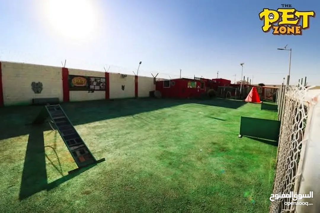 فندق ومركز تدريب للكلاب