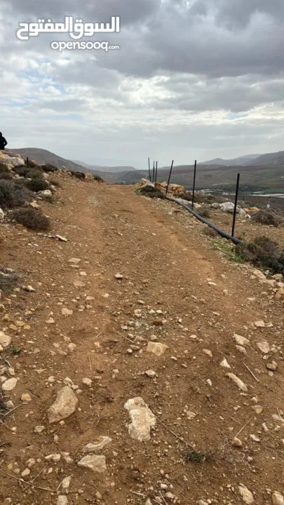 ارض مميزه للبيع في منطقة النصاريه  تصلح لبناء شليه سباحي