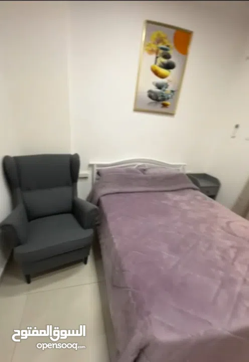 استوديو مفروش فرش فخم للبيع