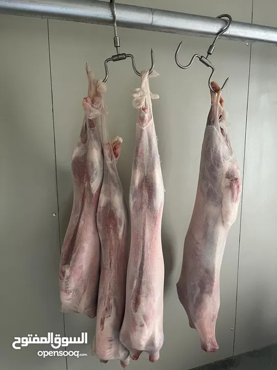 للبيع ملحمة في  إمارة عجمان بجميع معداته وباص مكيف مع قصاب Butchery for sale with equipment and van