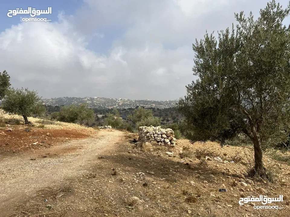 (1)ارض للبيع في بدر الجديدة السويسة مساحة الأرض 4500 م