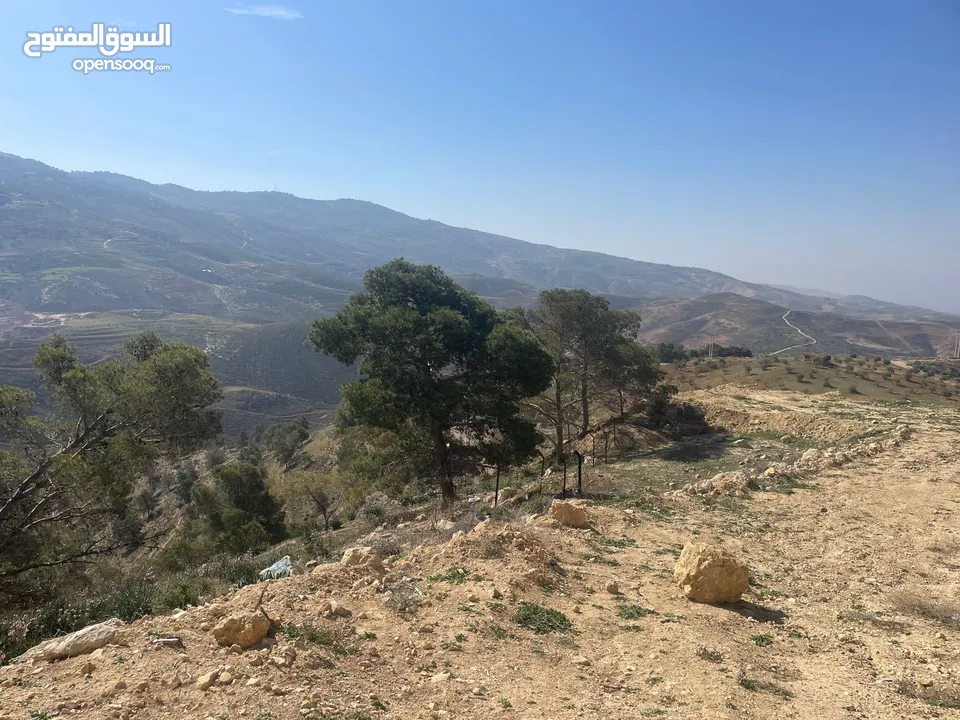 ارض للبيع / الصبيحي 18 دونم تقع على شارع رئيسي ‏بإطلالة مميزة وجميلة ويوجد بجانبها مطعم