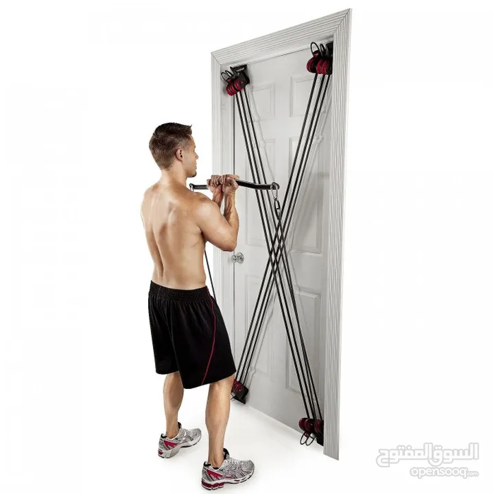 X-factor Door Gym