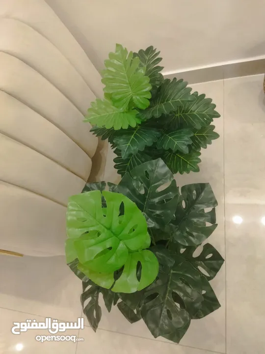 نبات صناعي متل الطبيعي جديد قطعة ويوجد توصيل
