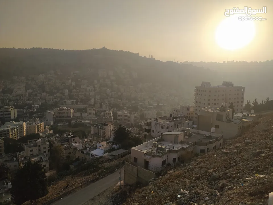 شقه مشطبه 30% ( مقصوره )