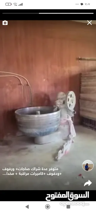 عجانة بحتلة ممتازة بأتساع 3 شولات ونص