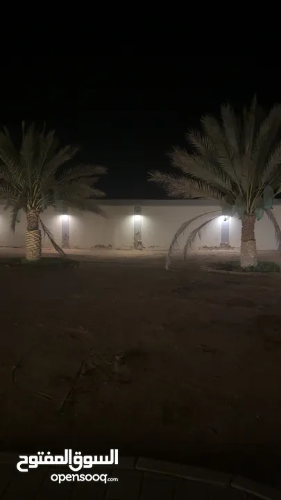 مزرعه جاهزة للبيع السعر نهائي