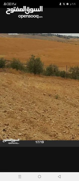 ارض زراعية للبيع  .. قطعه زراعية .   محافظة مادبا . ذيبان . مليح . حوض العلاقي . مساحة اربع دنمات