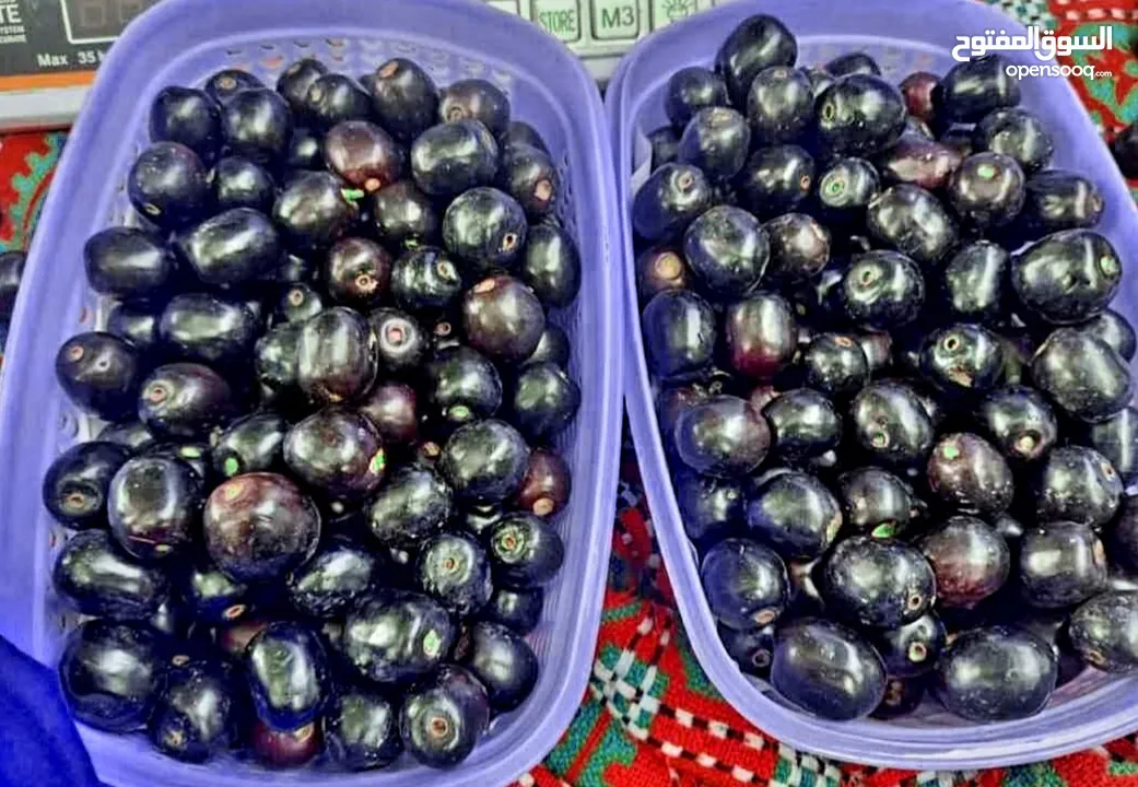 jamun available