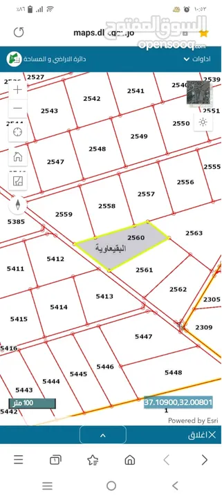 10.دن الباديه الشماليه. البقيعاويه