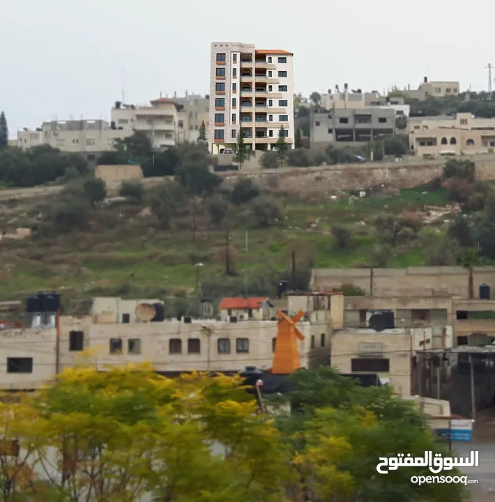 شقة الاحلام