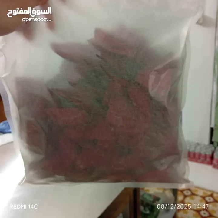 for making good products Freeza company