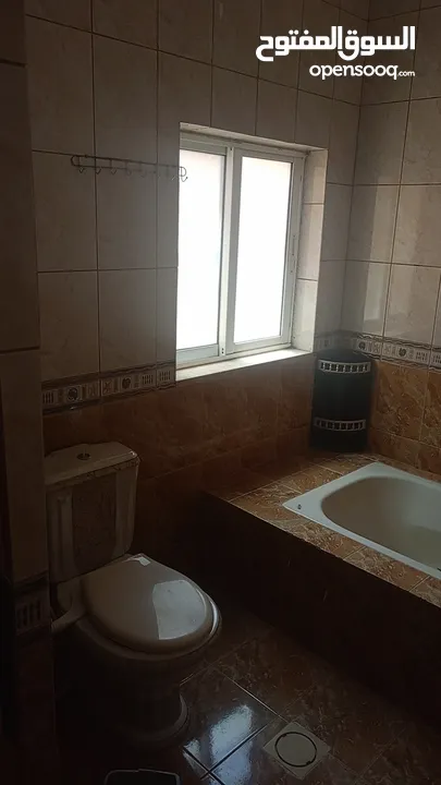 شقة للايجار