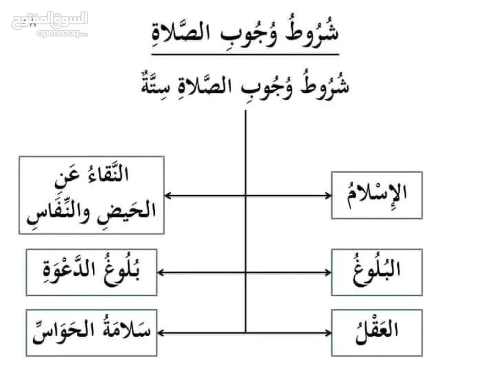 متخصص تأسيس وتدريس علوم اللغة العربية والتربية الإسلامية والدراسات الاجتماعية والفلسفية