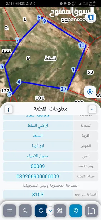 للبيع قطعة أرض 8 دونم السلط شارع 60 قرب مسجد الرابح