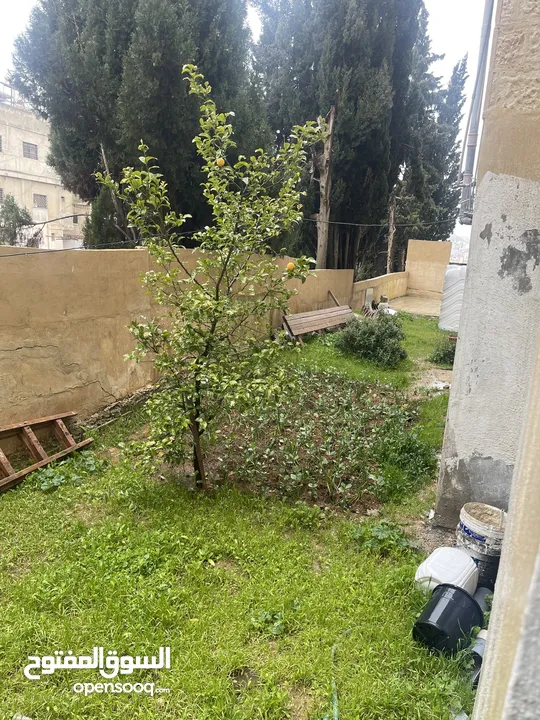 شقق جديده واستثماريه نمبر ون في عمان... وبأسعار رائعه