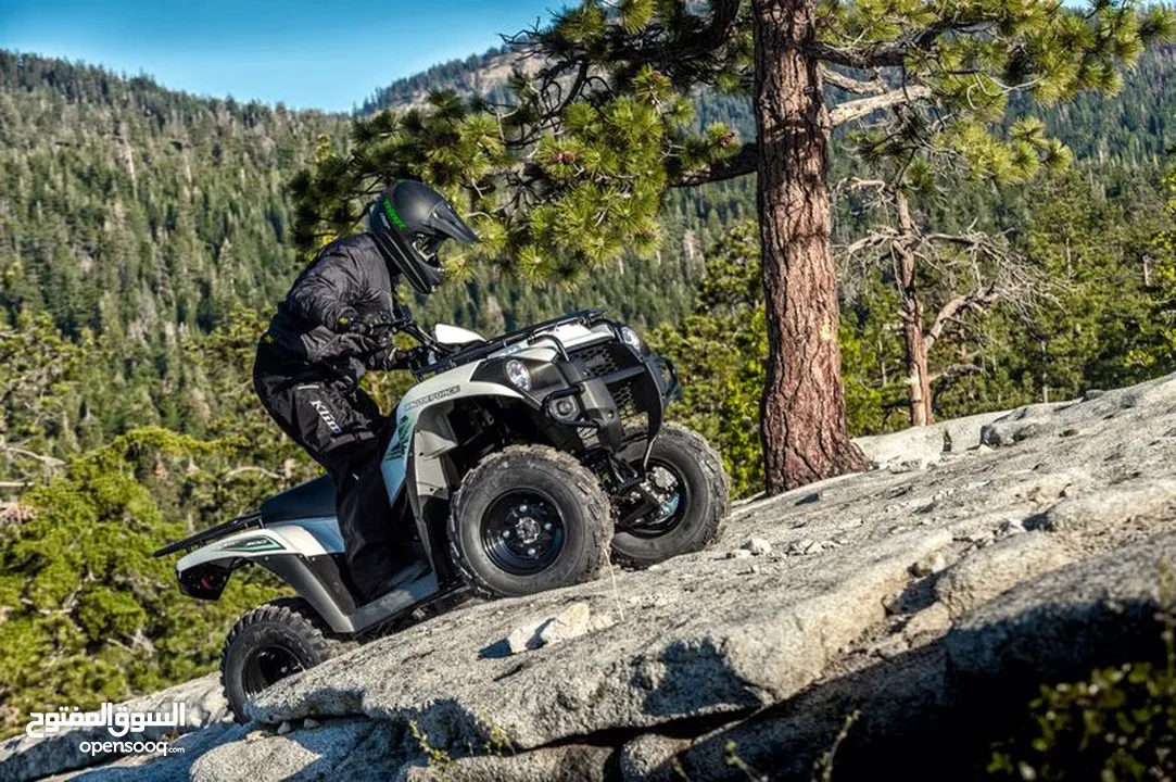 Kawasaki BRUTE FORCE 300