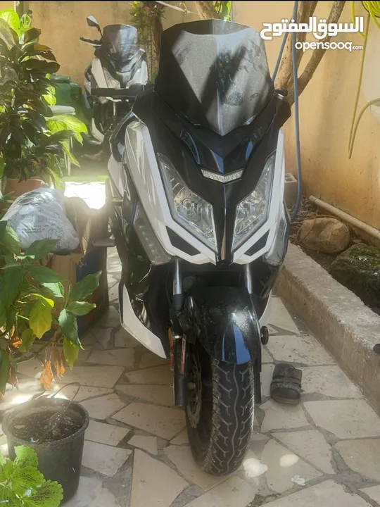 فسبة قانوني ضفه 2023 ماطور 150 ماشيه 13 الف