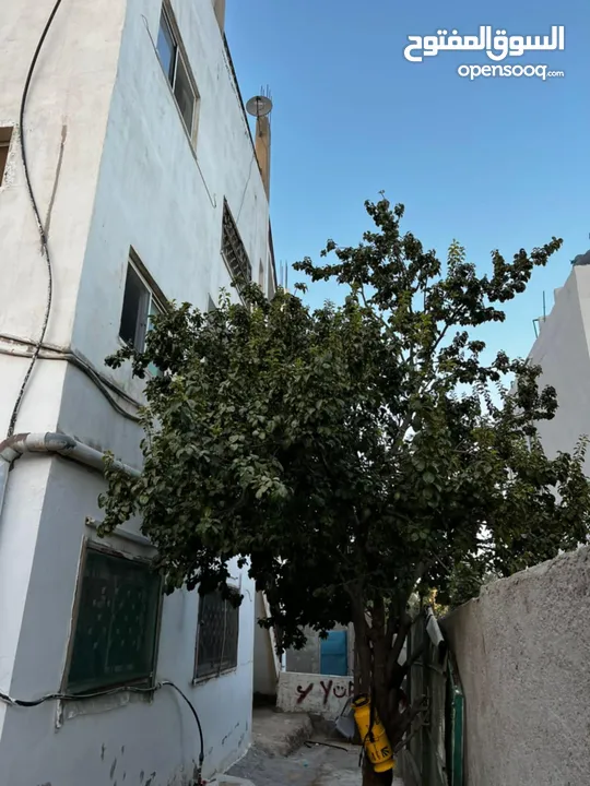 بيت مستقل مكون من شقق