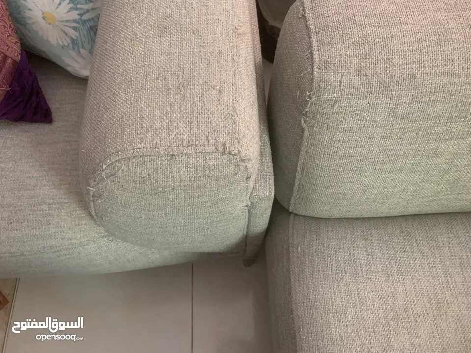 صوفات من صفاة الغانم