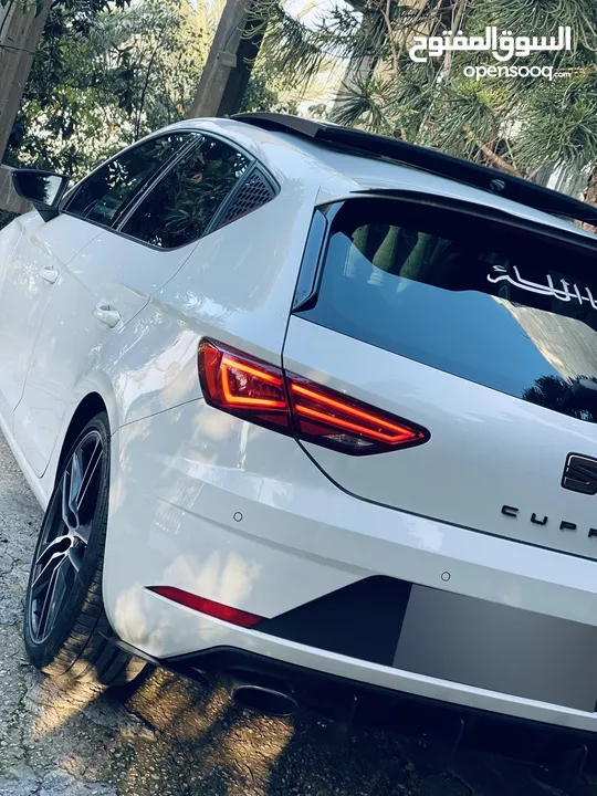 سيت كوبرا 2019