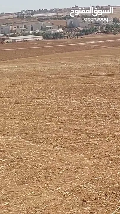 مادبا بجانب الجامعة الامريكيةمباشرة قطعة زراعيةمميزة بسعر 18 الف الدونم وبمساحة 3750متر واصل الخدمات