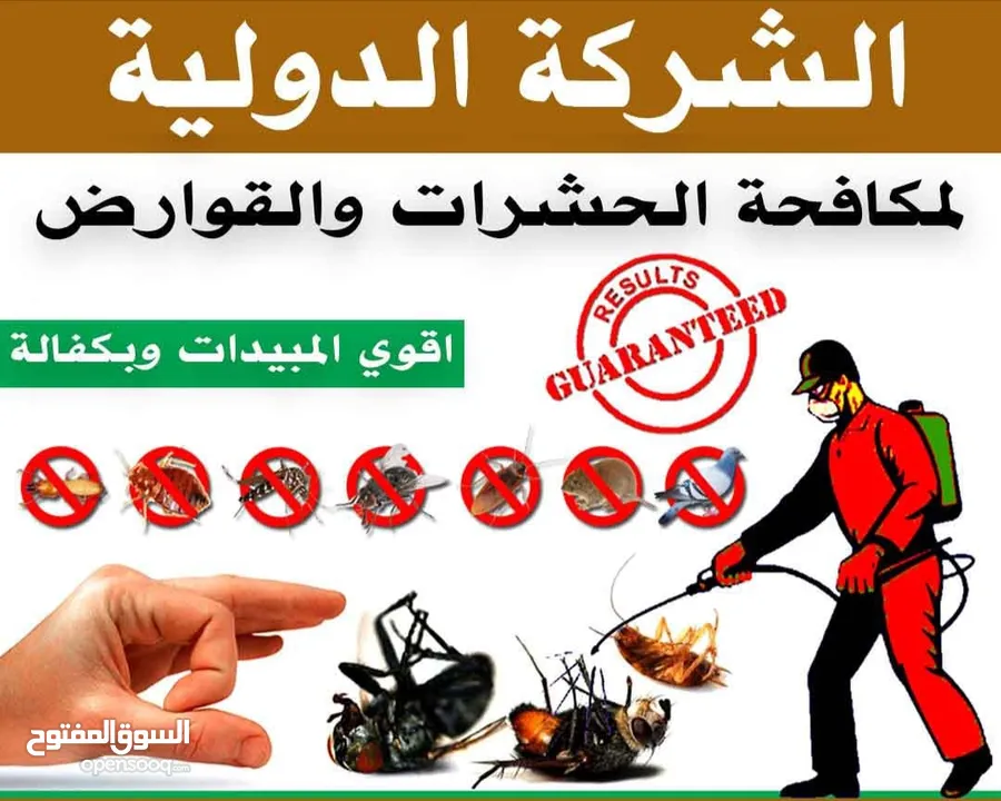 الشركة الدولية لمكافحة الحشرات بجميع مناطق الكويت