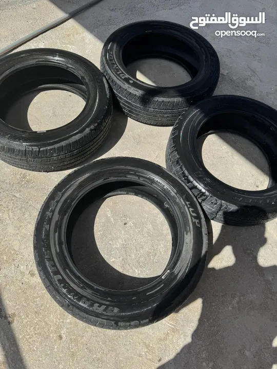كوشوك دنلوب للبيع