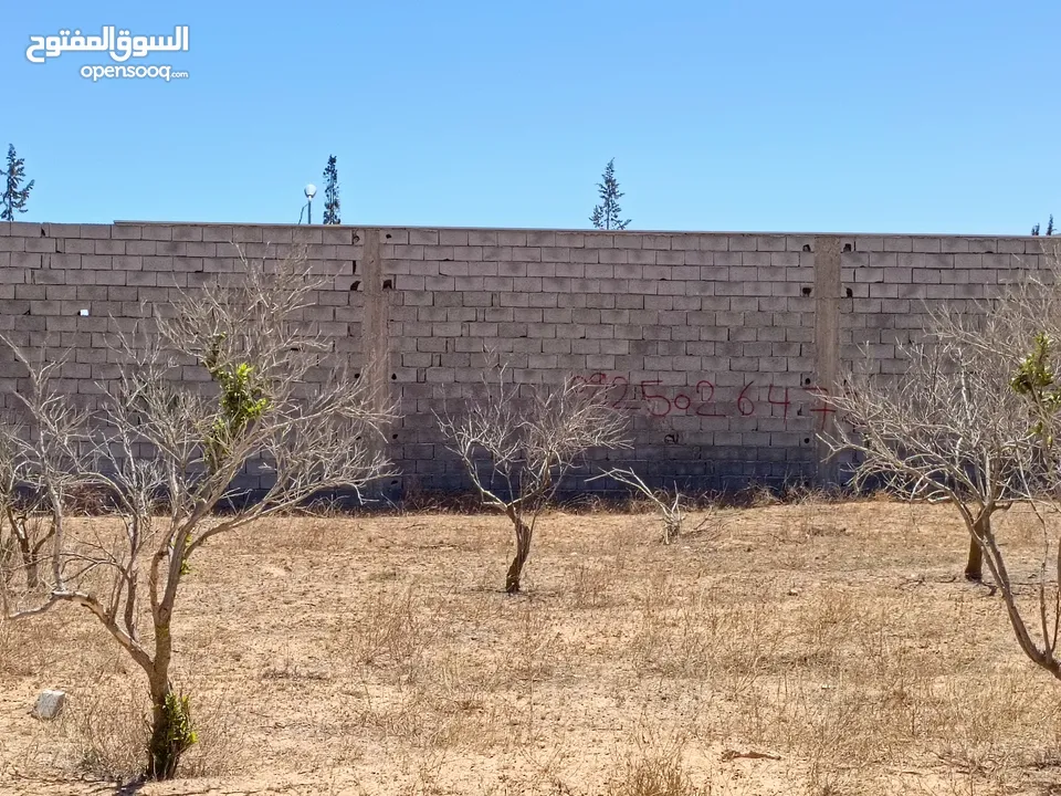 قطعه ارض للبيع 350متر الباعيش بالقرب من مسجد السلام