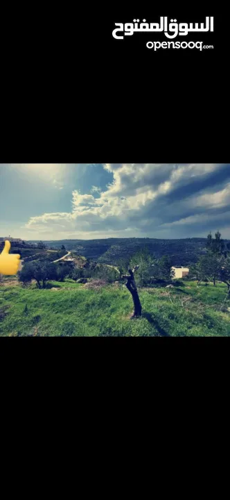 ارض نص دونم في بتير، عالية ومطلة تصنيف بي