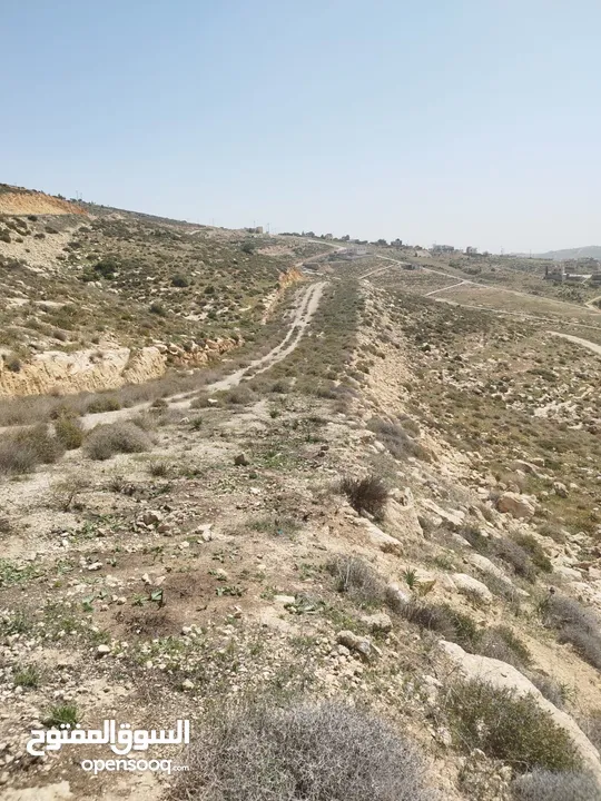 ارض للبيع ( ام رمانه) قريبه جدا من شارع الاردن حيث تبعد عن بن معروف 6 دقائق فقط