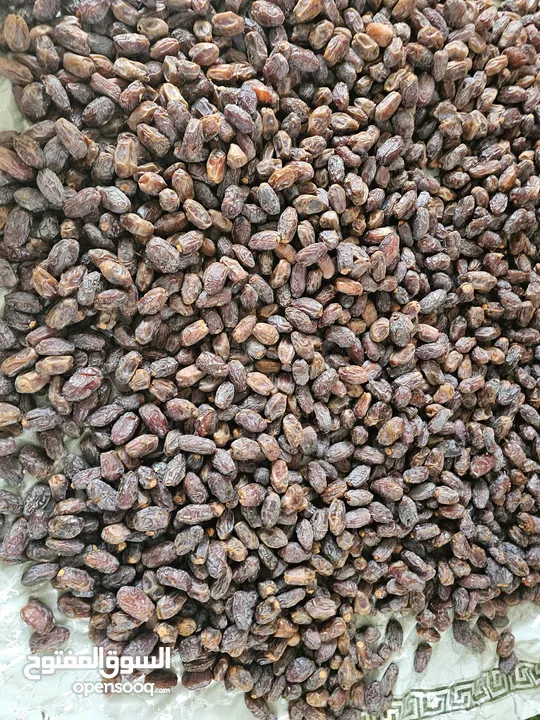 تمر مجهول للبيع بسعر الجمله