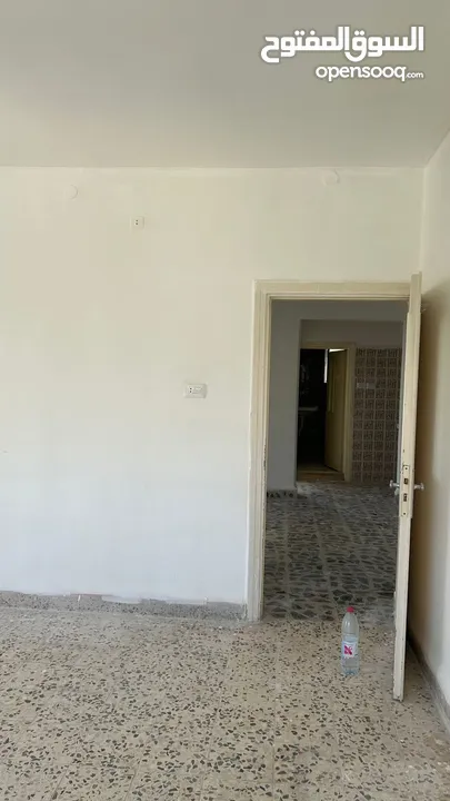 شقة لايجار