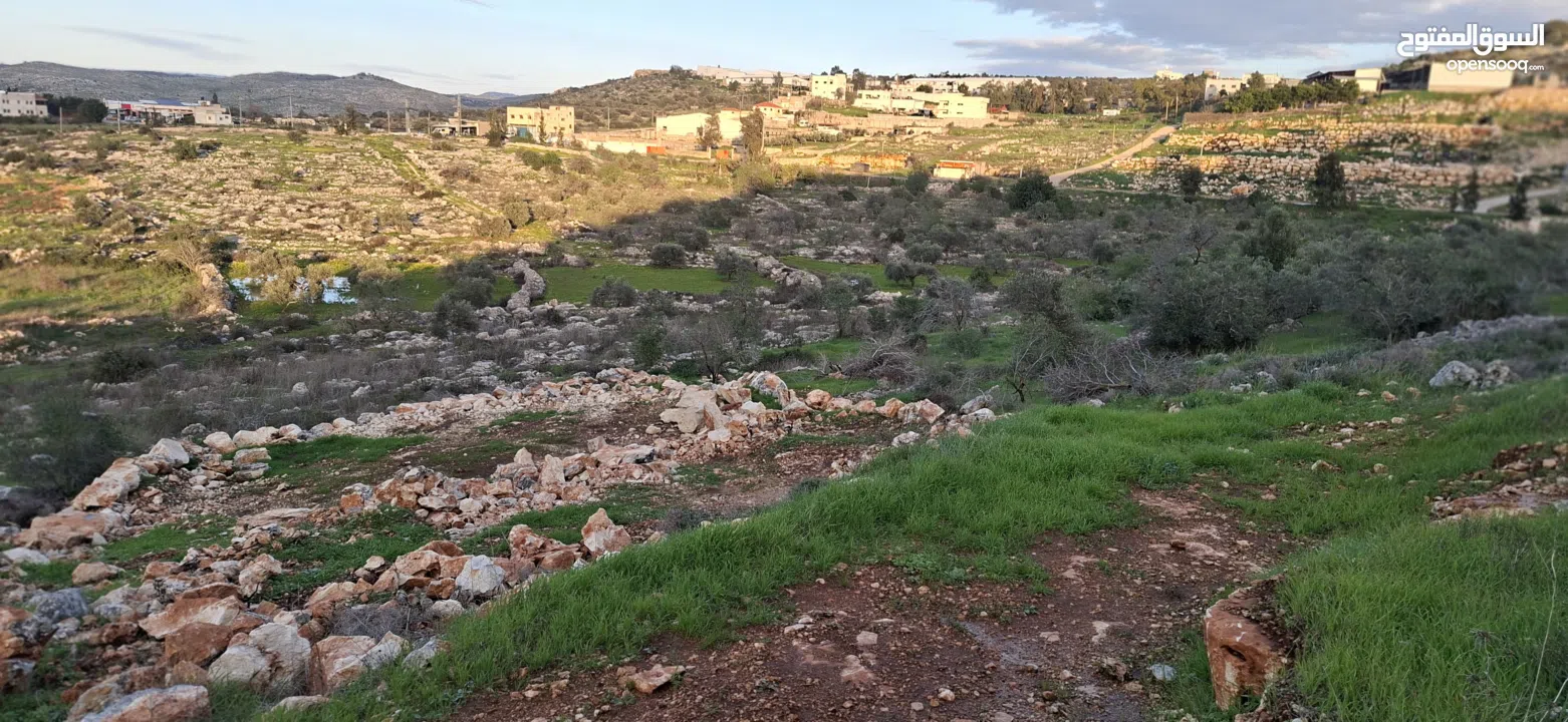 800متر طابوا فلسطيني في اجمل موقع بالكفريات واطلالة مميزةمنطقة( b)صالحة للبناء
