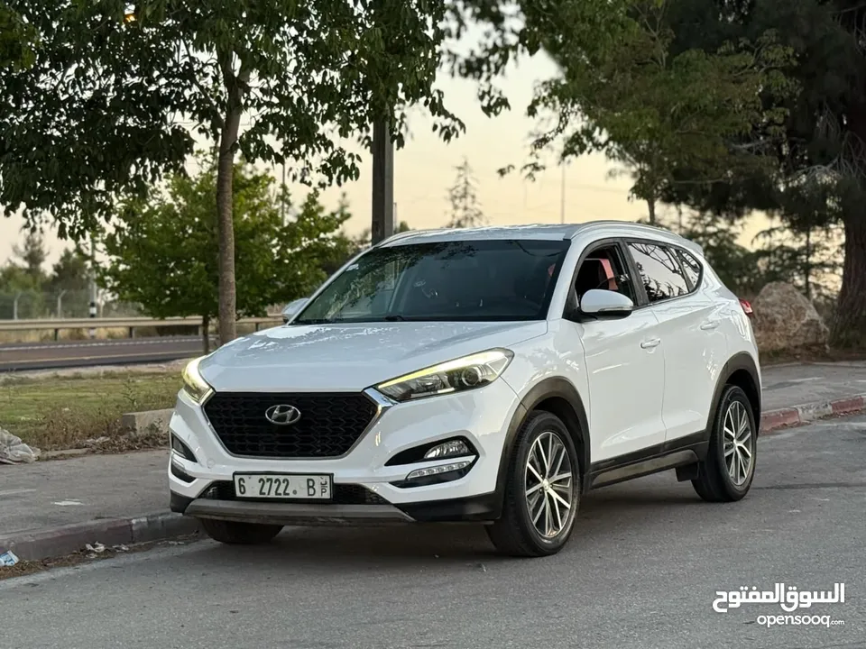 امين محمد جبر