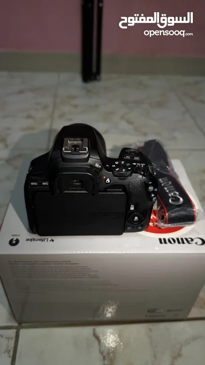 للبيع كاميرا Canon 250D شبه جديدة مع جميع معداتها
