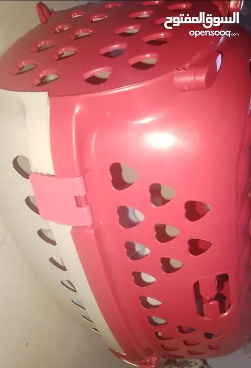 بيع مستلزمات قطط بحاله جيده