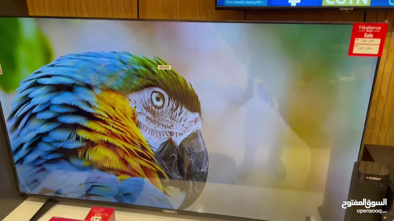 تلفزيون VIVID65 بوصة ذكي 4K Android 14 أفضل جودة وأفضل سعر وضمان لمدة عام واحد.