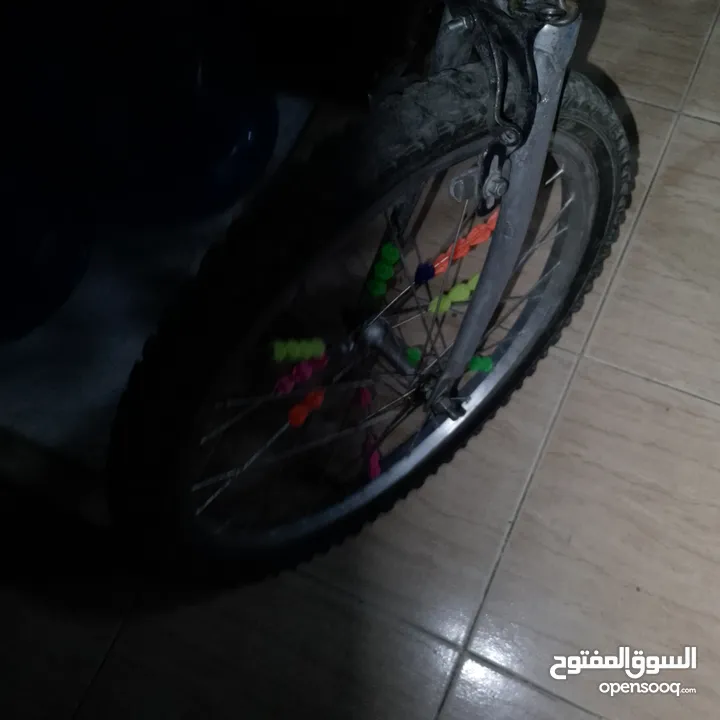 بسكليت ياباني