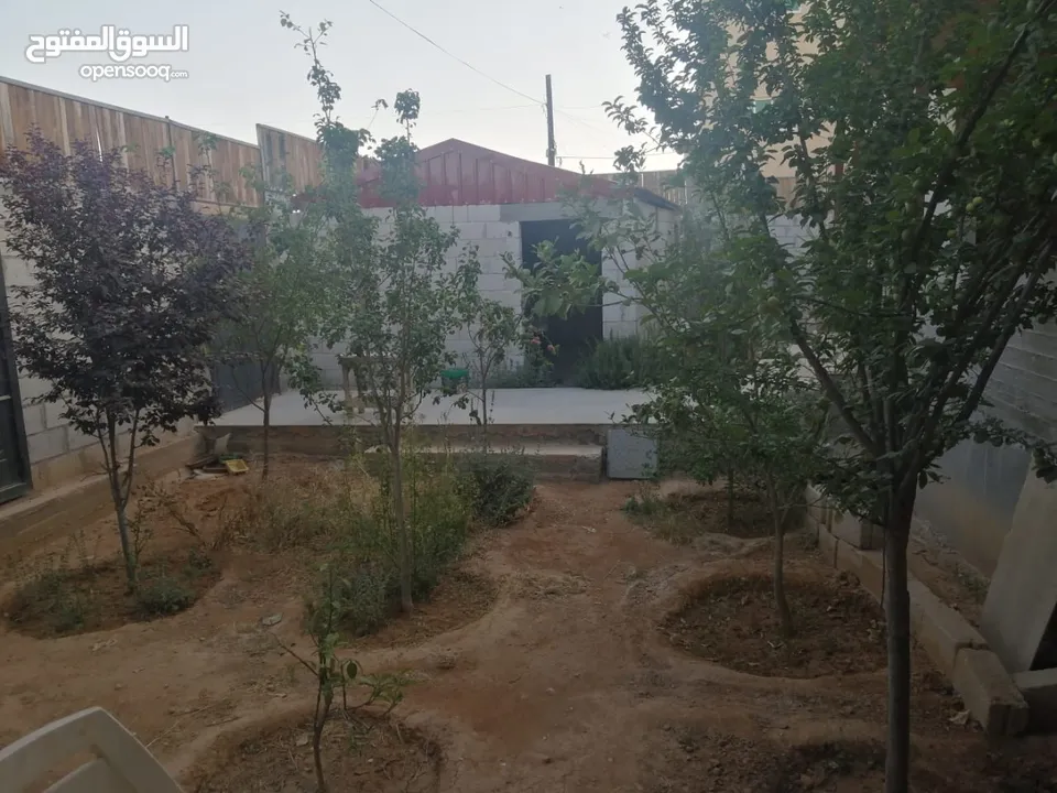 بيت للبيع مساحة الارض، الضليل 500 متر على شارعين ..
