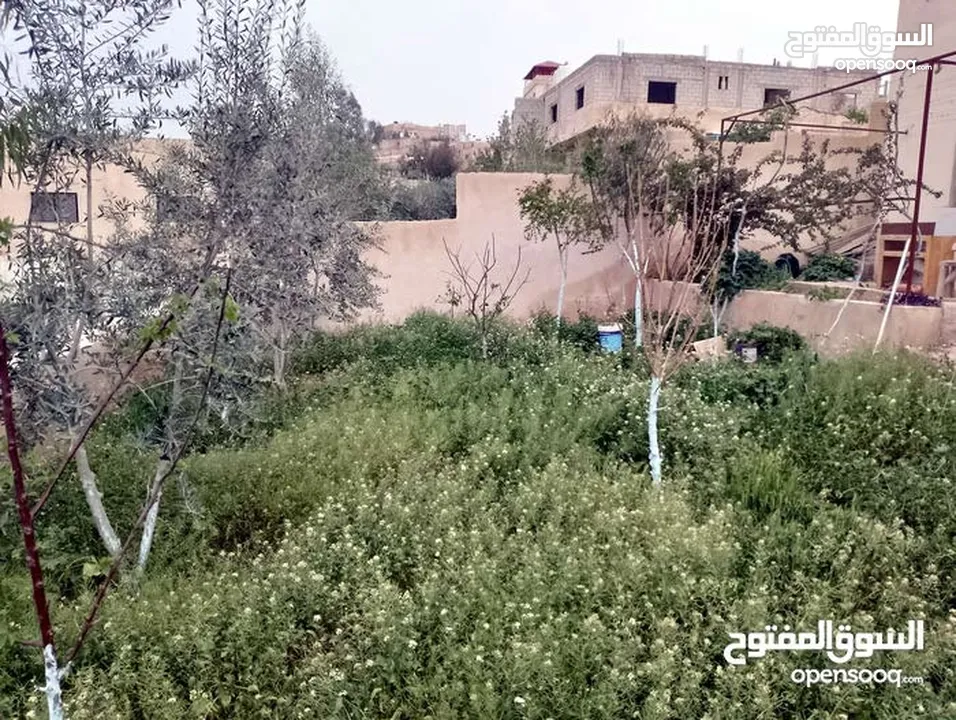 بيت للبيع ...قرية خالد خلف اسكان ماركا