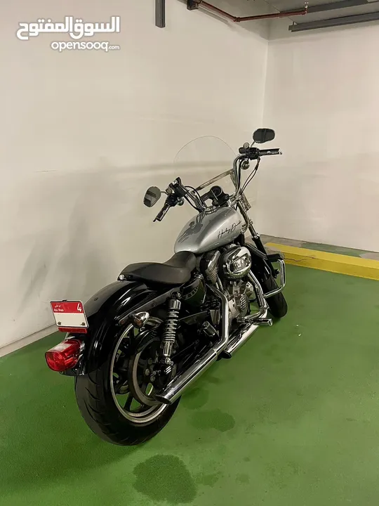 Harley Davidson Sportster XL 1200 Custom