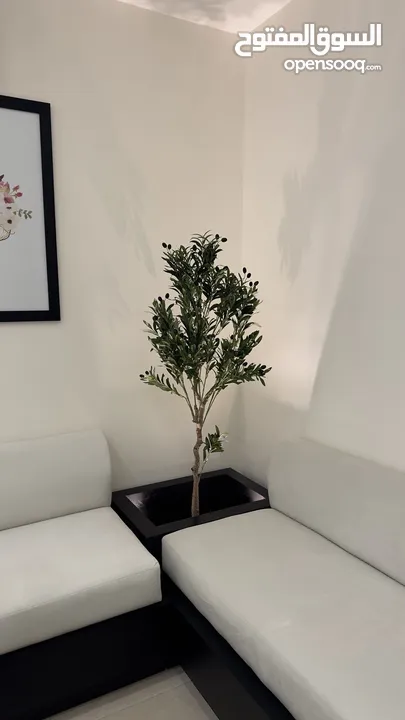 اثاث استراحة ( كورنر انيق جدا مع كاونتر و كرسي)لعيادة او مركز صحي مودرن فاخر جدا و جودة عالية