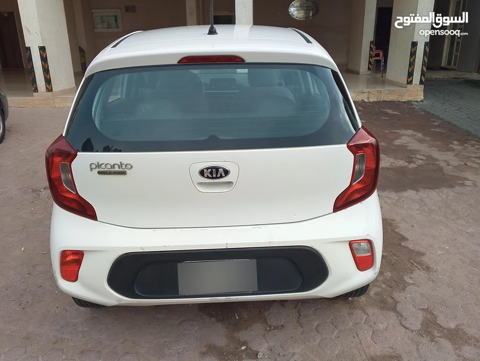 kia picanto car sale