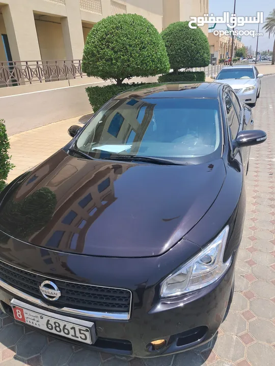 Nissan Maxima 2011