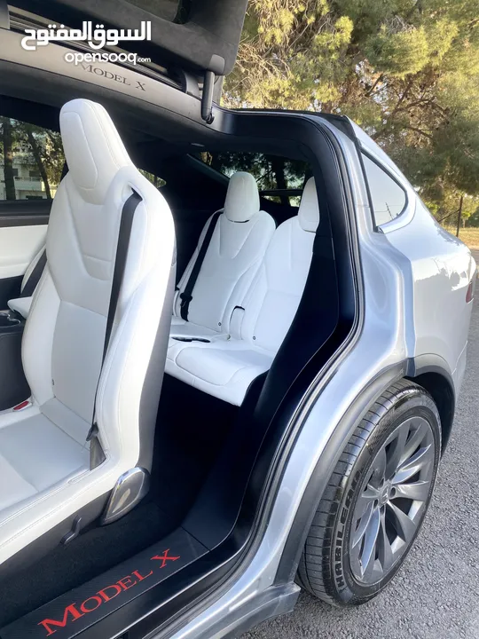 TESLA MODEL X 100 D 2017 SILVER