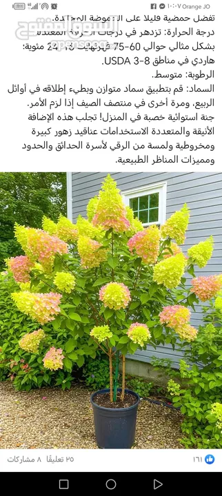 حدائق ونباتات