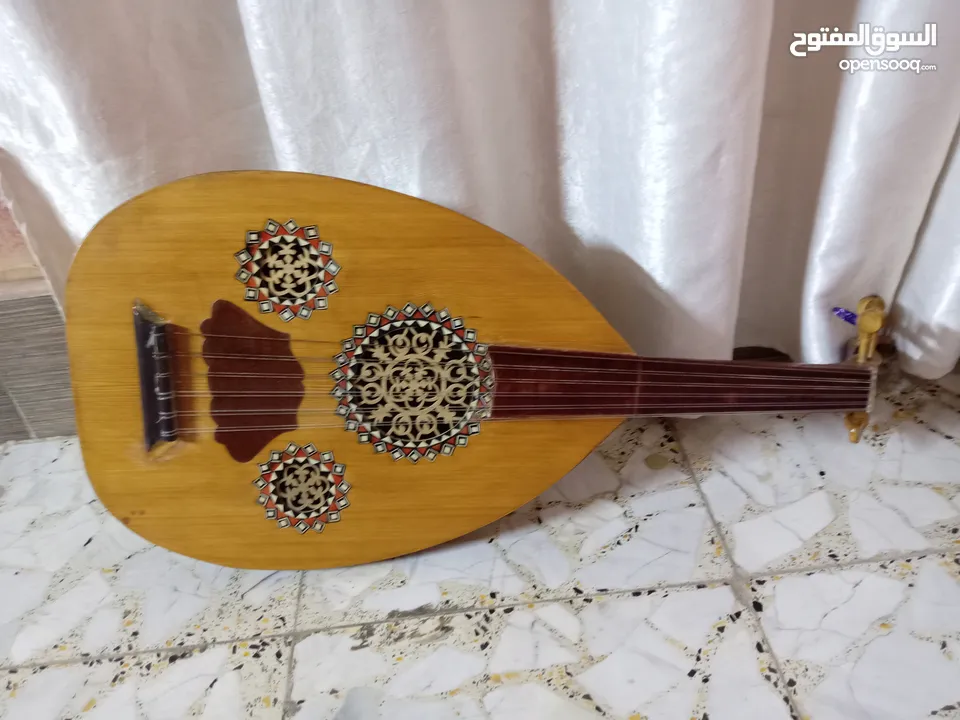 عود مصري/ سمير حميدو