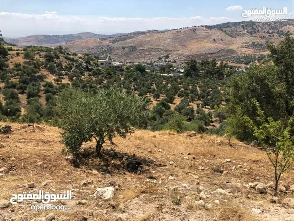قطعه ارض للبيع